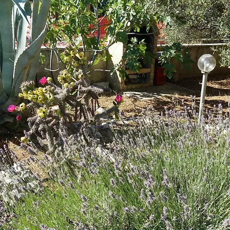 Family Guest house 3*