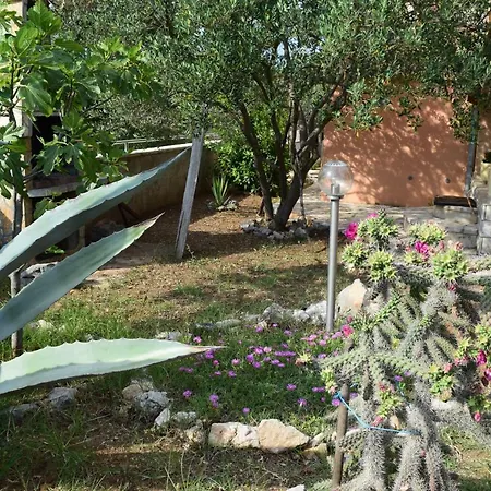 Guest house Family